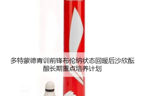多特蒙德青训前锋布伦纳状态回暖后沙欣酝酿长期重点培养计划